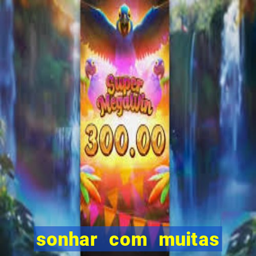 sonhar com muitas formigas juntas jogo do bicho